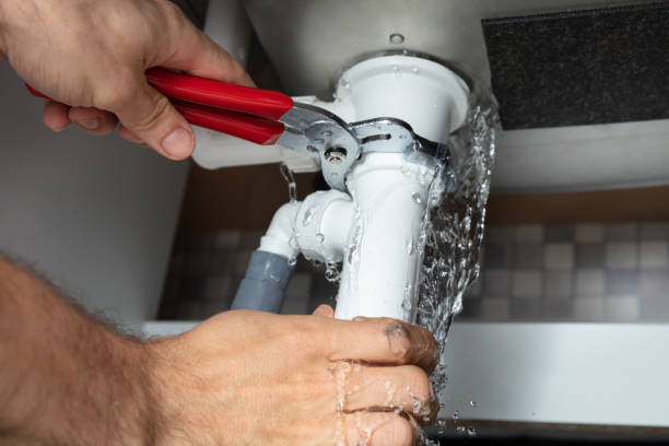 Best Residential water damage restoration  in Sherman, IL