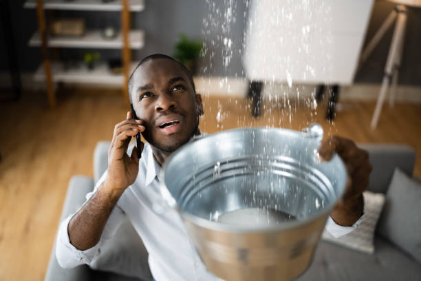 Best Water damage restoration near me  in Sherman, IL