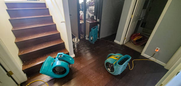 Best Emergency water damage restoration  in Sherman, IL