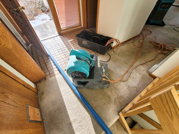 Best Water damage cleanup near me  in Sherman, IL