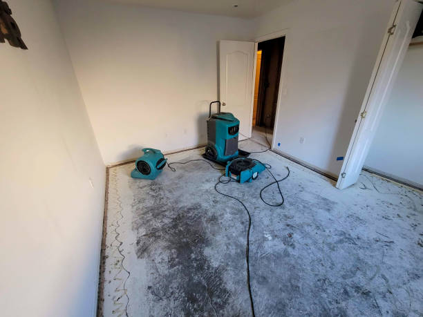 Best Carpet water damage restoration  in Sherman, IL