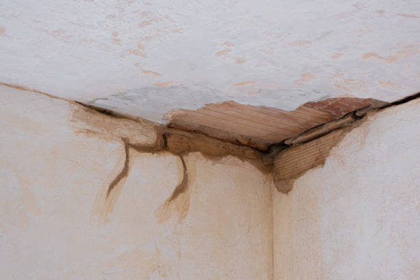 Best Water damage restoration near me  in Sherman, IL