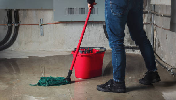 Best Basement water damage restoration  in Sherman, IL
