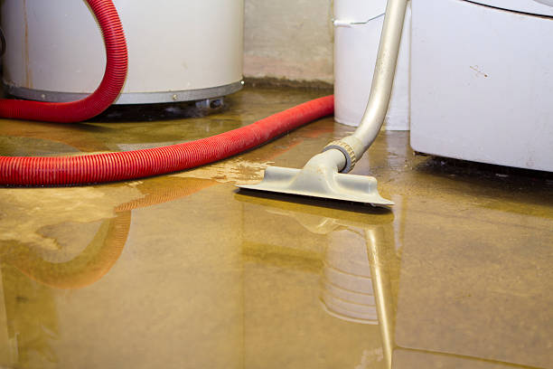 Professional Water damage restoration in Sherman, IL