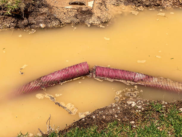 Best Water damage restoration process  in Sherman, IL