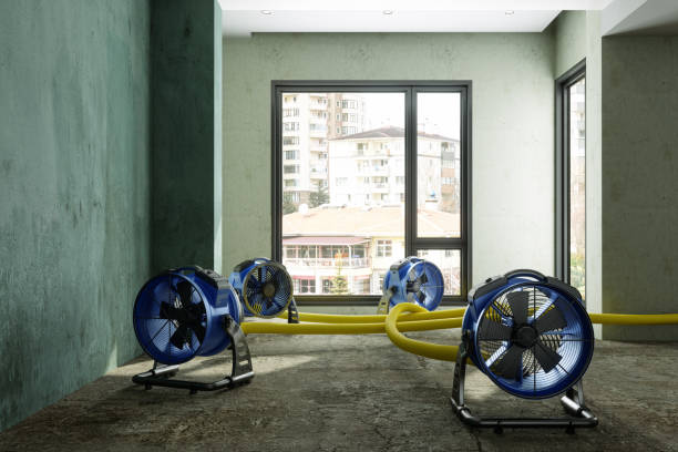 Best 24-hour water damage restoration  in Sherman, IL